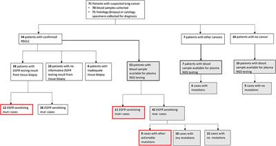 Complementing Tissue Testing With Plasma Mutation Profiling Improves Therapeutic Decision-Making for Patients With Lung Cancer